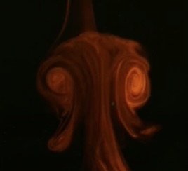 Vortex ring from laboratory experiment Exp79